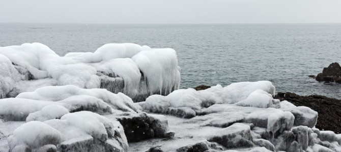 Coast Walk 6: Heading south from High Seas (Feb.14)