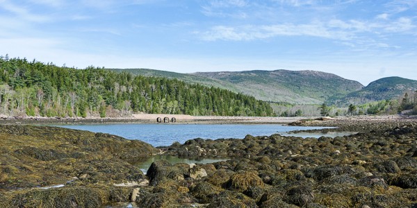 Coast Walk 10: East Side of Otter Cove, Part 2