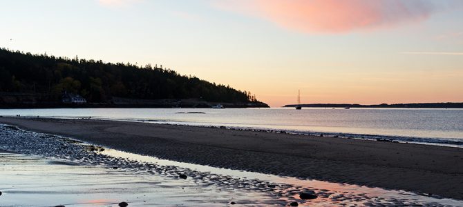 Update and Addenda, November 6, 2016