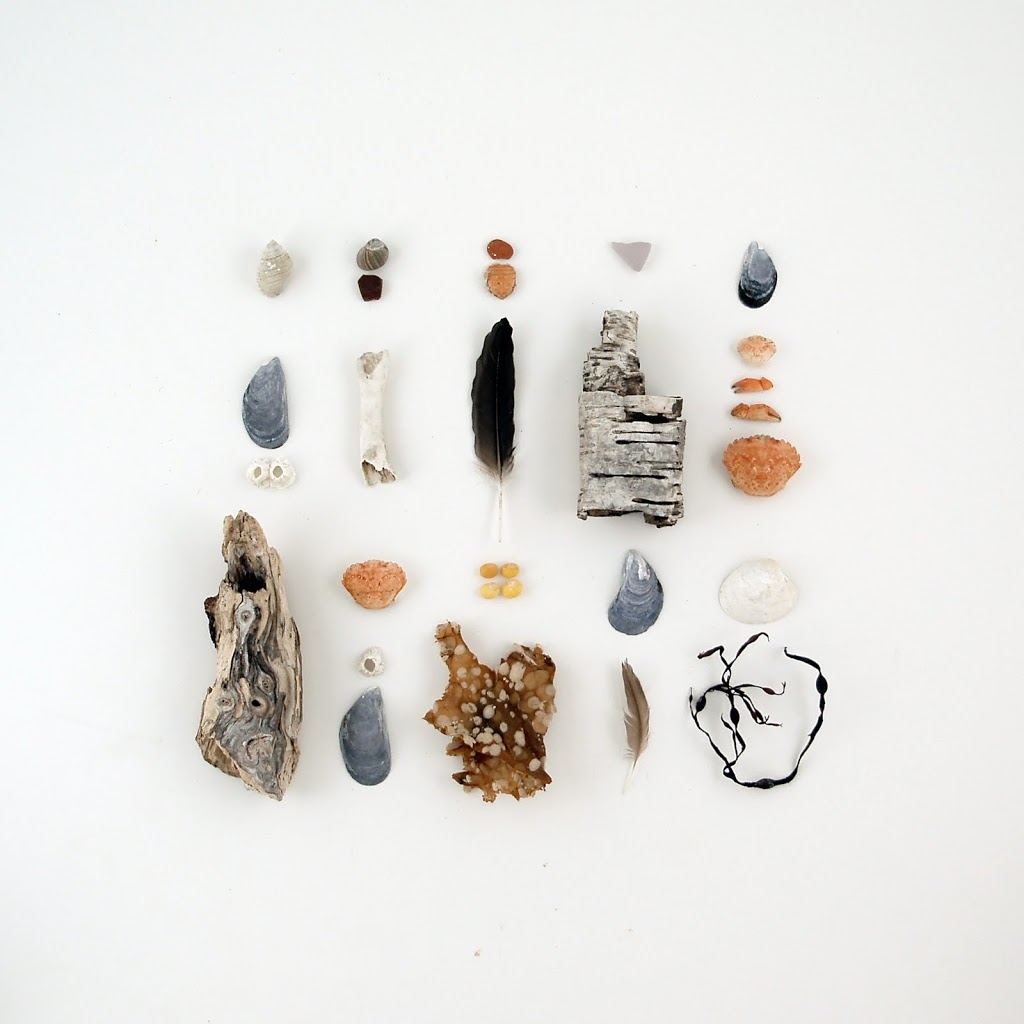 Bob’s Camp, Union River Bay, August 1, 2010