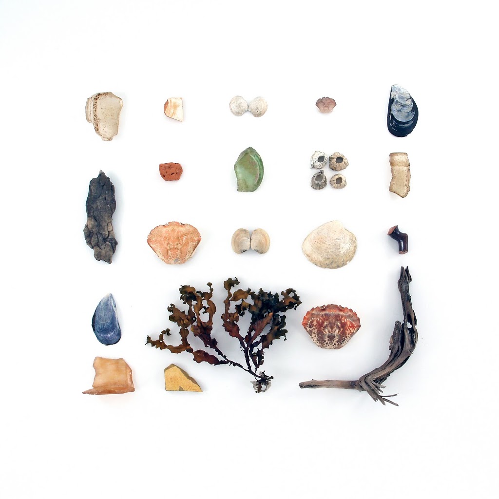 Clark Cove, August 11, 2010