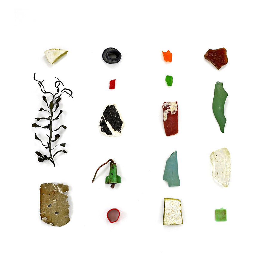 Plastic, Hulls Cove, January 29, 2011