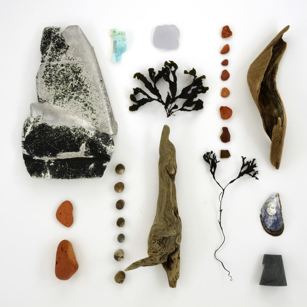 Hulls Cove, February 9, 2011