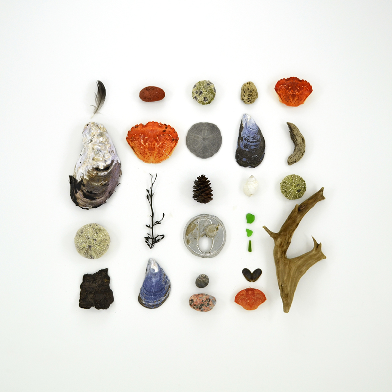 Seal Harbor, February 14, 2010