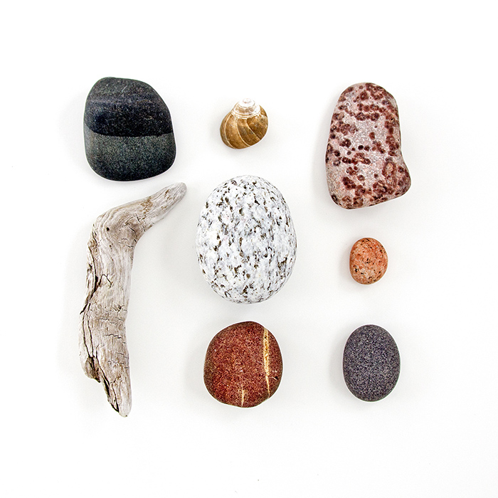 Swans Island, June 3, 2011