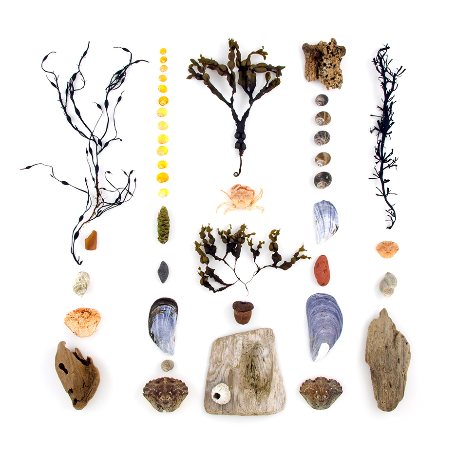 Bob’s Camp, Trenton, Independence Day 2011