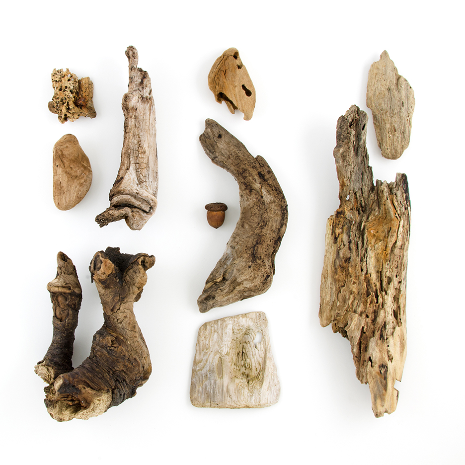 Driftwood, July 4, 2011 (Beachcombing series No.37)