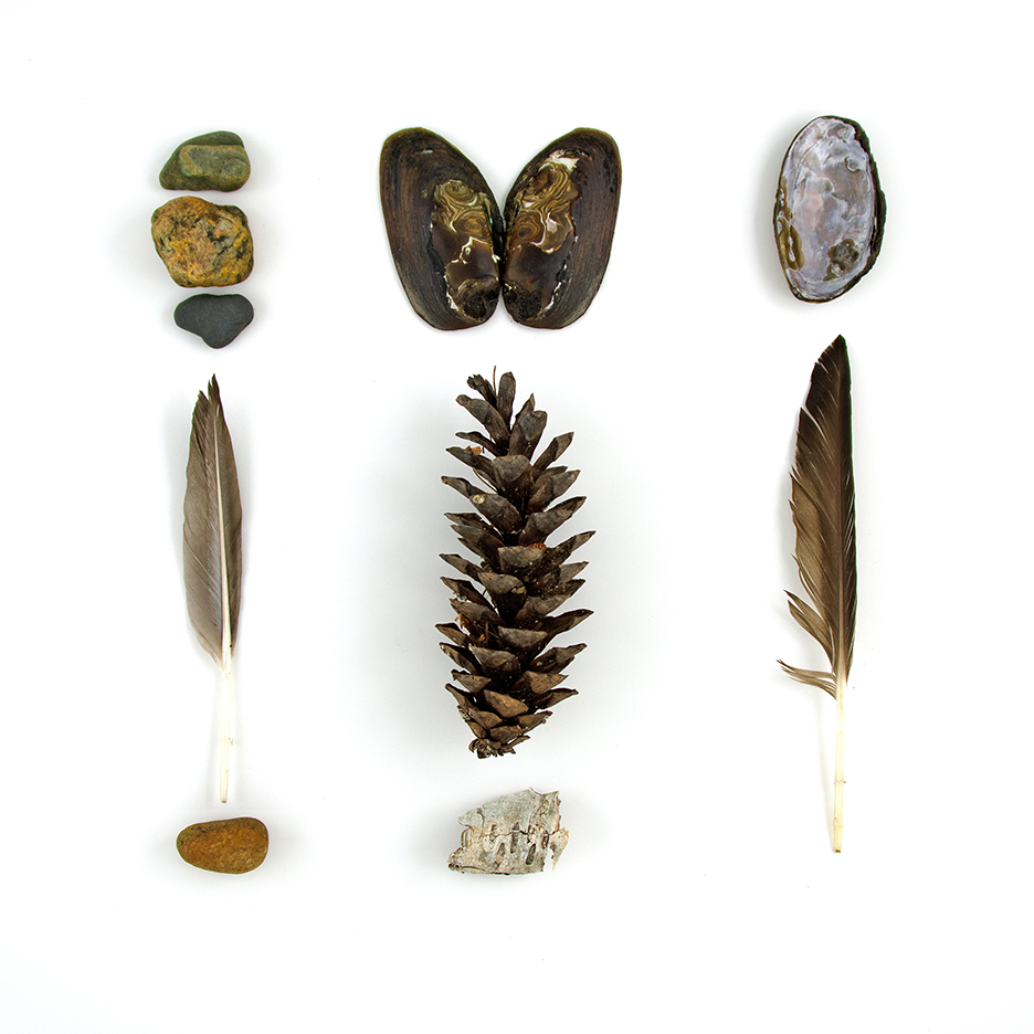 Georges Pond, July 10, 2011