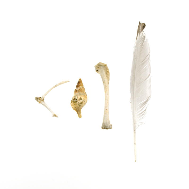 Upper Town Dock, Southwest Harbor, July 11, 2011