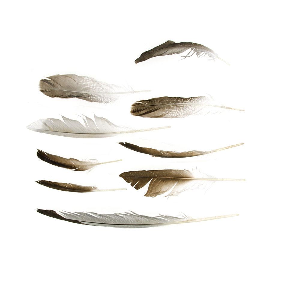 A Long, Wandering Post in which I Have an Adventure