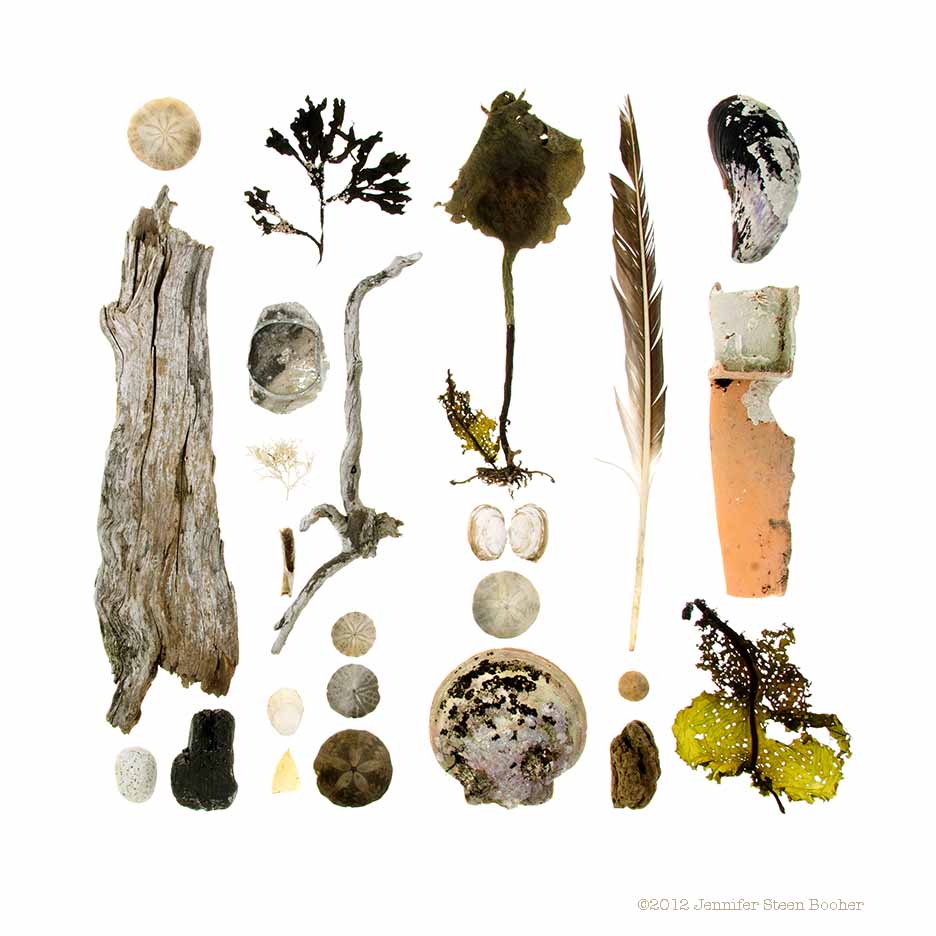 Seal Harbor Beach, Valentine’s Day, 2012 (Beachcombing series No.61)