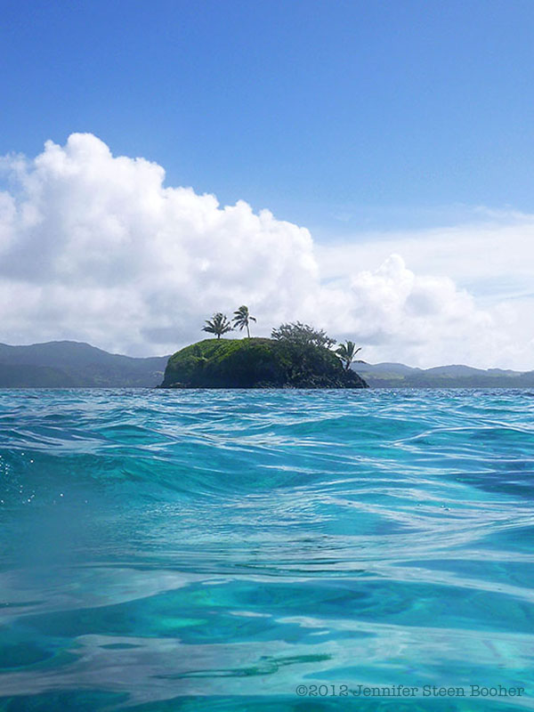 Fiji: March 18, Underwater at Two Trees Island