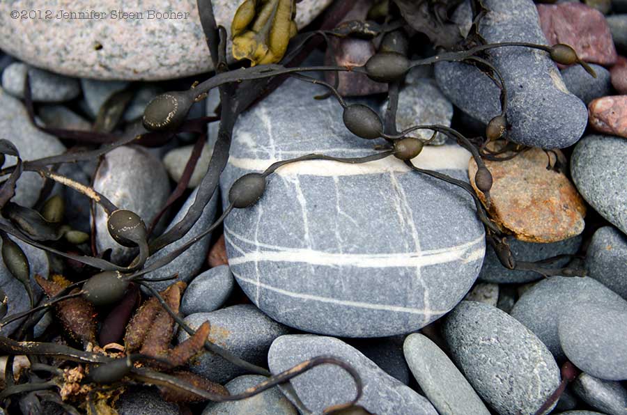 striped beach stone Raccoon Beach, Campobello, New Brunswick