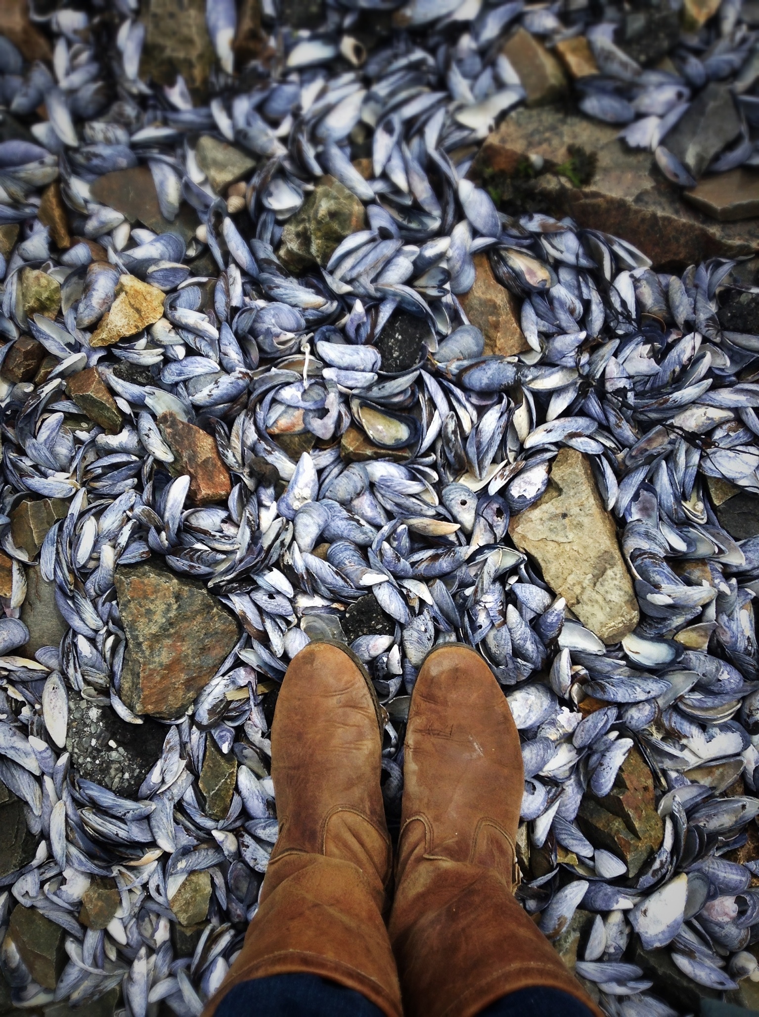 Manset Town Dock, Maine; April 22, 2014 (Beachcombing series No.74)