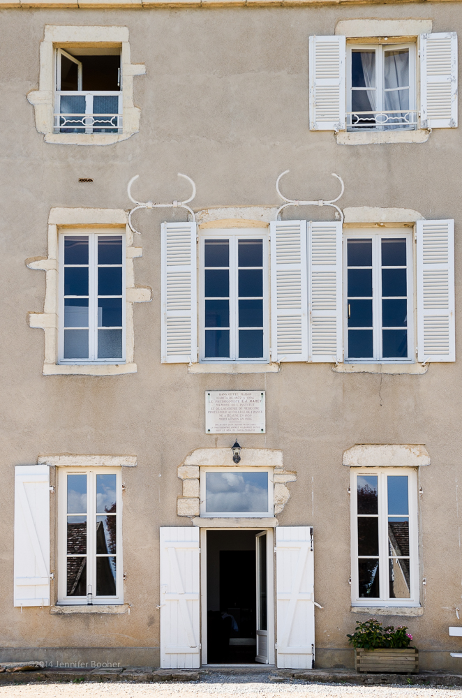 Domaine de la Folie, vineyard, Burgundy, Bourgogne