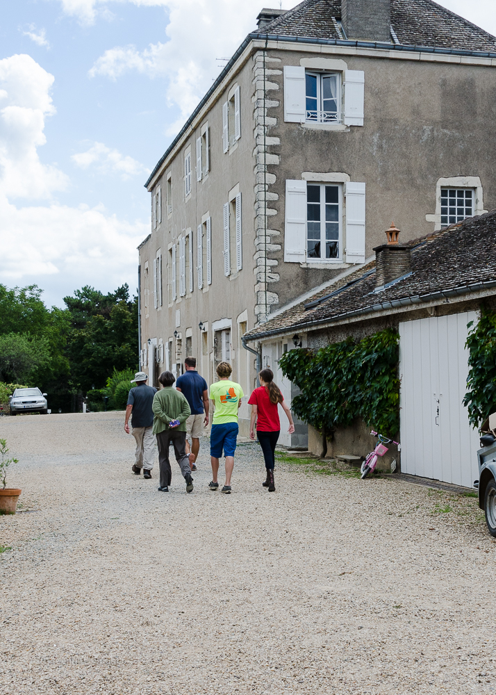 Domaine de la Folie, vineyard, Burgundy, Bourgogne