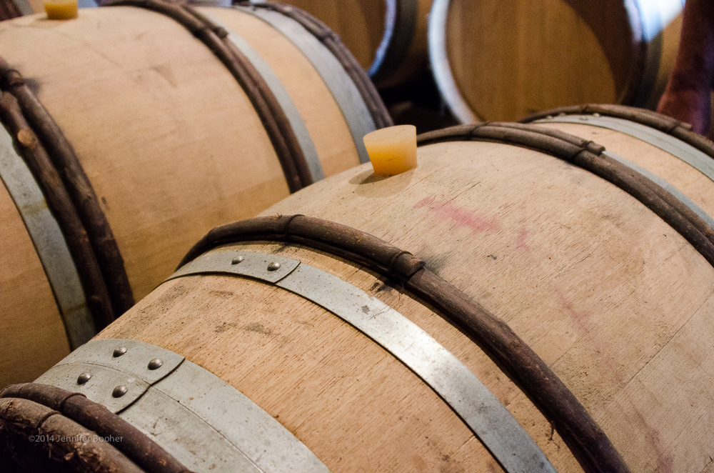Domaine de la Folie, vineyard, Burgundy, Bourgogne