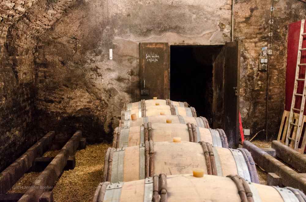 Domaine de la Folie, vineyard, Burgundy, Bourgogne
